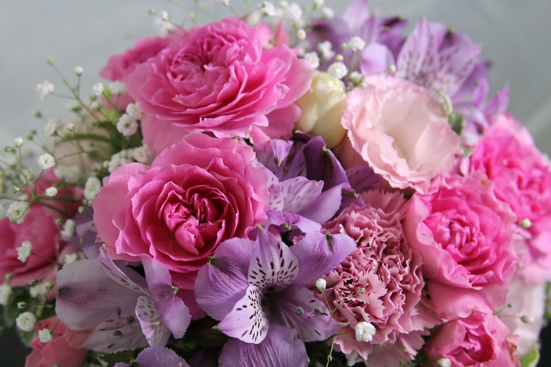 母の日の花ギフトはカーネーションが定番